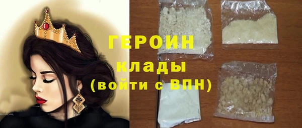 гашик Алексин