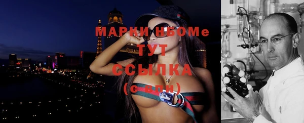 гашик Алексин