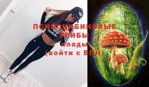 стаф Абинск