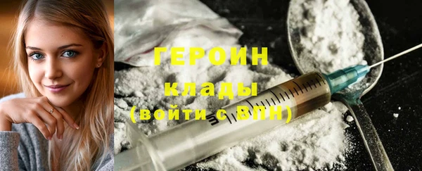 гашик Алексин