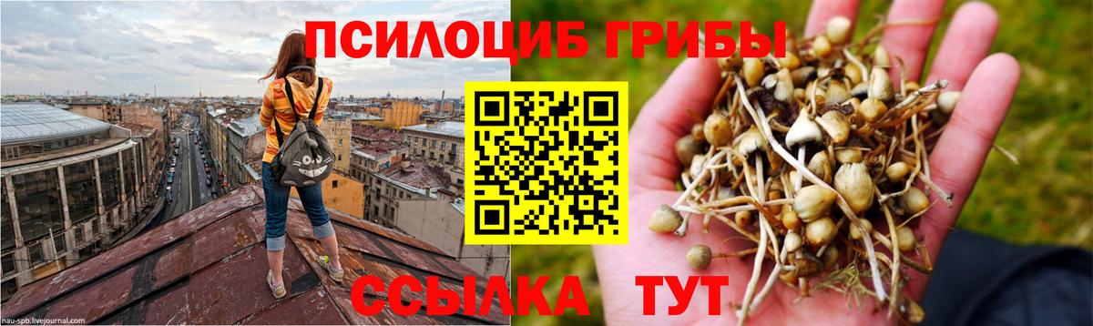 Псилоцибиновые грибы Psilocybine cubensis  Вход с VPN  Ливны  Галлюциногенные грибы ЛСД 