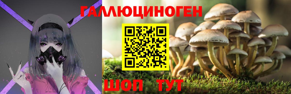 Псилоцибиновые грибы Psilocybe Ливны